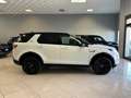 Land Rover Discovery Sport Discovery Sport I 2020 2.0d td4 mhev SE awd 163cv - thumbnail 4