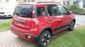 Fiat Panda Cross 1.0 FireFly S&S Hybrid Rosso - thumbnail 4