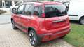 Fiat Panda Cross 1.0 FireFly S&S Hybrid Rosso - thumbnail 3