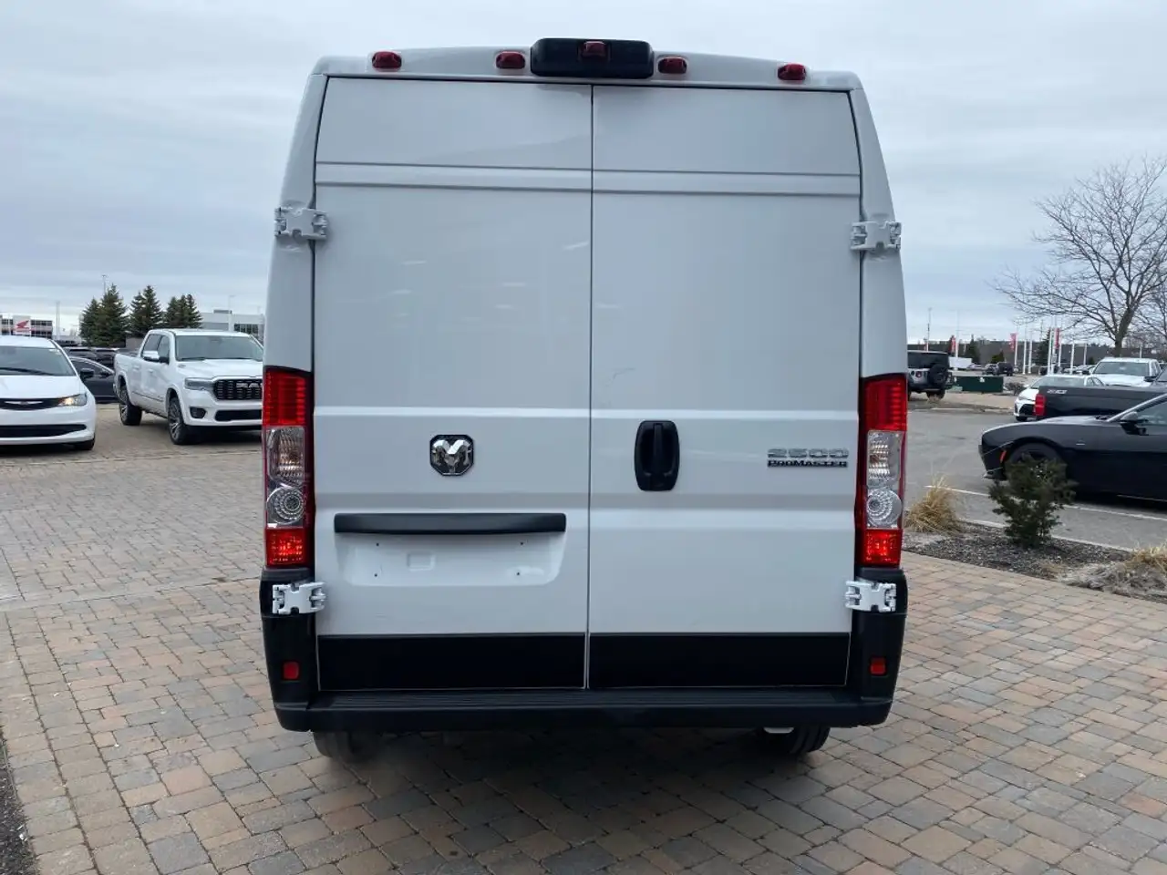 RAM Promaster снимка RAM Promaster