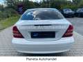 Mercedes-Benz C 240 C -Klasse 240*AUTOMATIK*TEMPOMAT*KLIMATRONIC*EGS Белый - thumbnail 6
