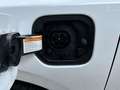 Kia Ceed SW / cee'd SW Sportswagon 1.6 GDI 140pk PHEV DynamicLine | Cruis Wit - thumbnail 41