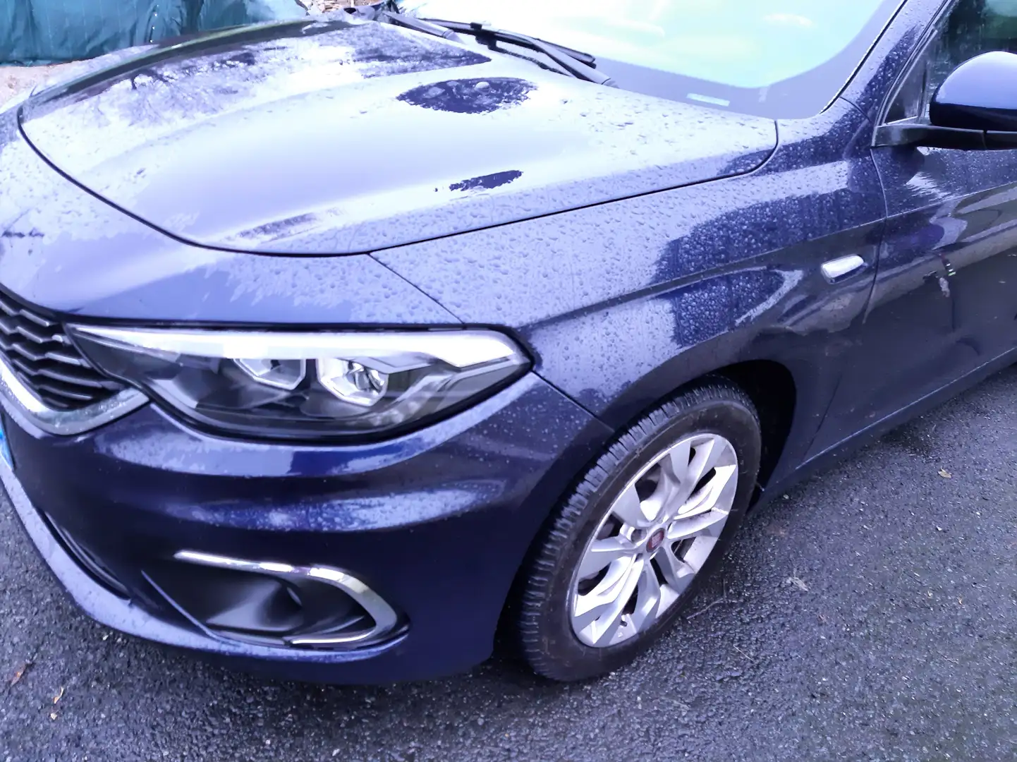 Fiat Tipo STATION WAGON 1.6 MULTIJET 120 CH S/S EASY Bleu - 2