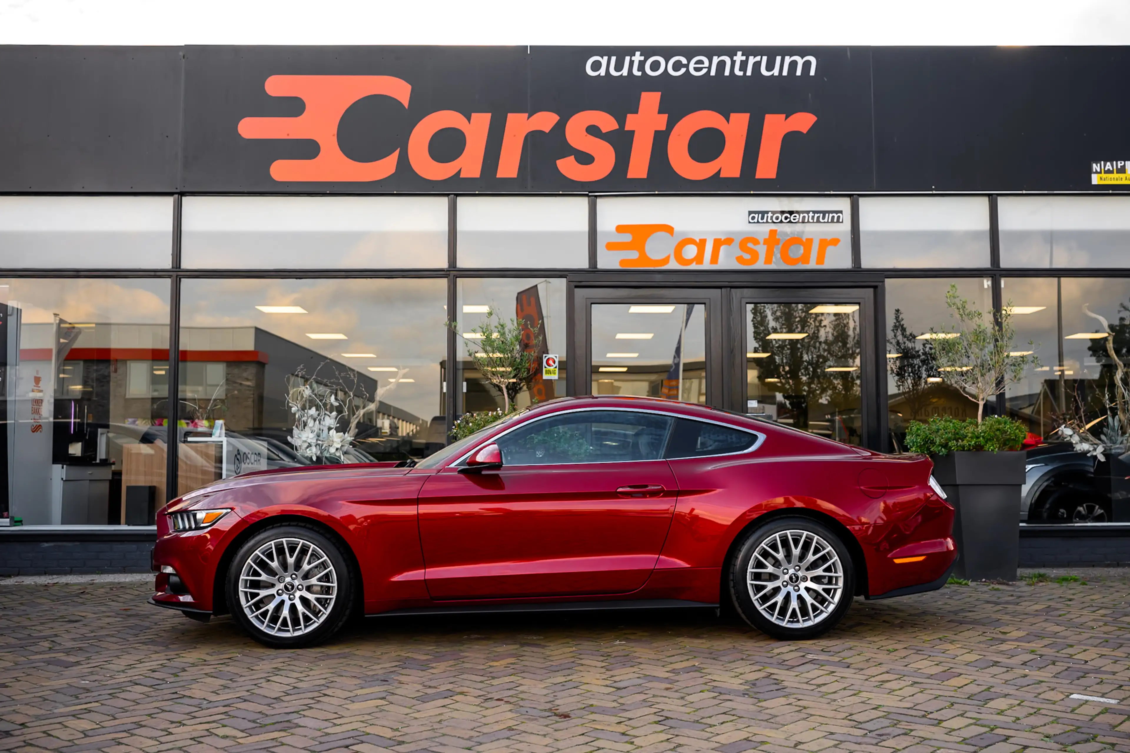Ford Mustang Fastback 2.3 EcoBoost|Handgeschakeld|Full options — photo 13
