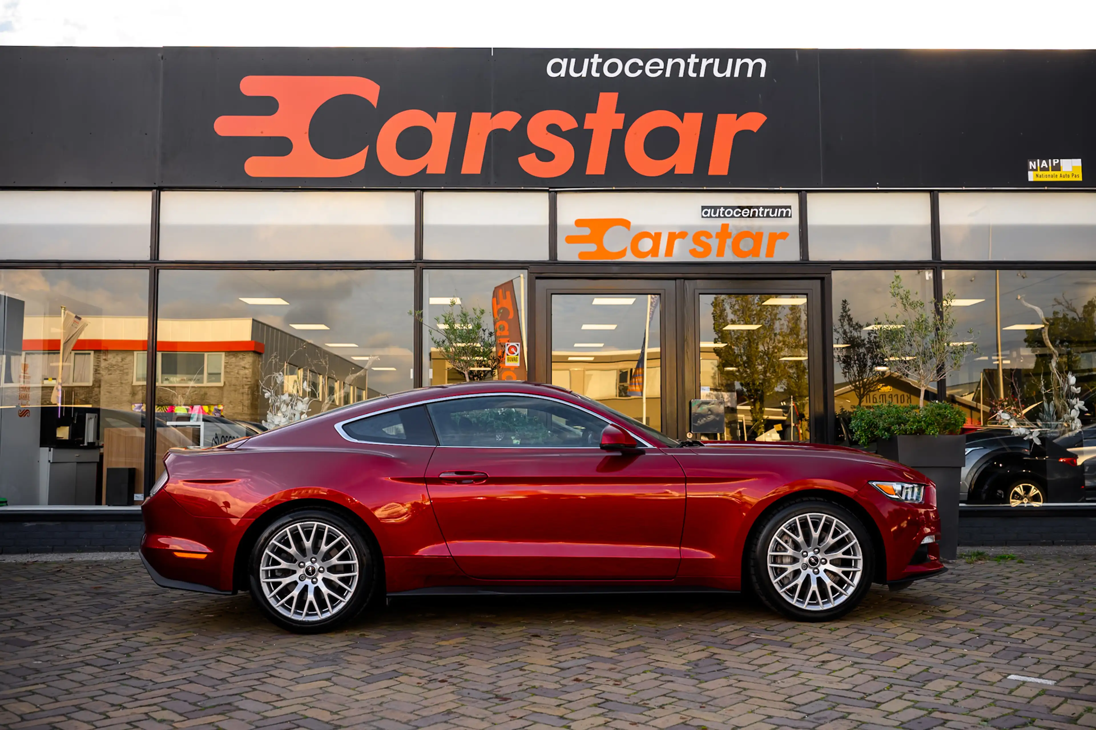Ford Mustang Fastback 2.3 EcoBoost|Handgeschakeld|Full options — photo 6