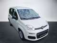 Fiat Panda 1.0 GSE Hybrid 51kW (70PS) Weiß - thumbnail 4