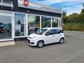 Fiat Panda 1.0 GSE Hybrid 51kW (70PS) Weiß - thumbnail 1