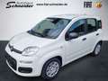 Fiat Panda 1.0 GSE Hybrid 51kW (70PS) Weiß - thumbnail 1