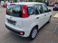 Fiat Panda 1.0 GSE Hybrid 51kW (70PS) Weiß - thumbnail 3