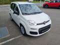 Fiat Panda 1.0 GSE Hybrid 51kW (70PS) Weiß - thumbnail 2