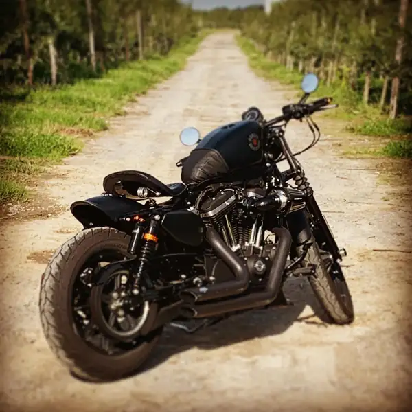 Harley-Davidson Iron 883 - foto 2