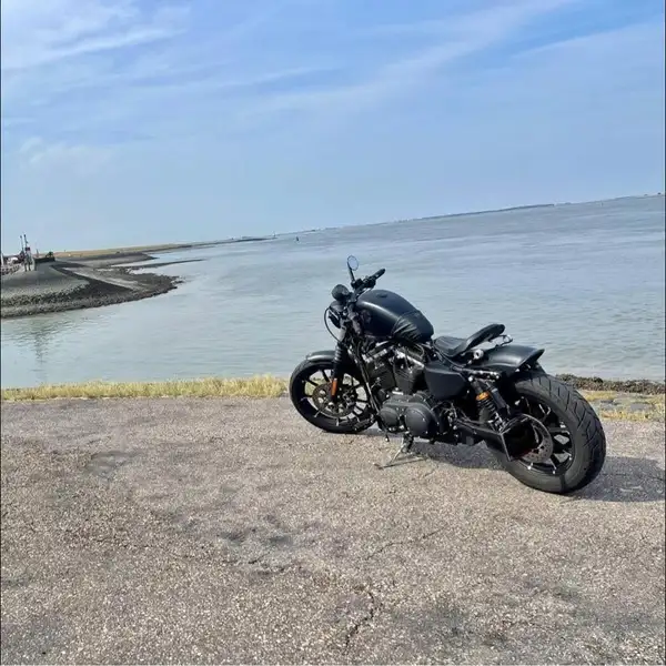 Harley-Davidson Iron 883 - foto 3