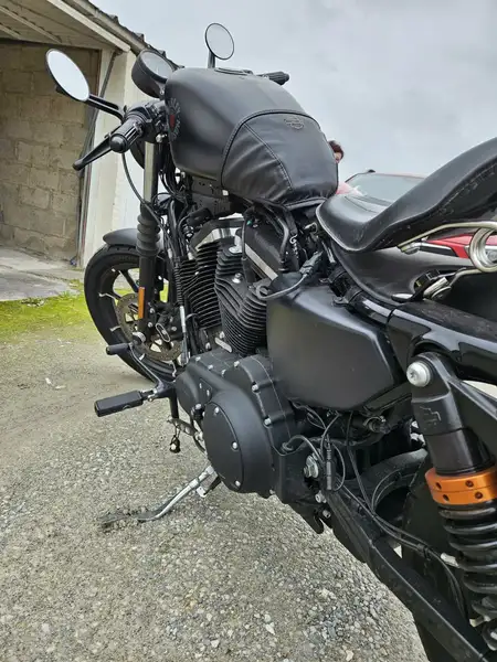 Harley-Davidson Iron 883 - foto 7