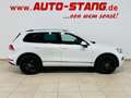 Volkswagen Touareg V6 TDI *AHK*Scheckheft* Wit - thumbnail 4