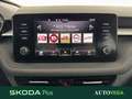 Skoda Fabia 1.0 mpi evo ambition 65cv Grigio - thumbnail 14