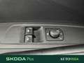 Skoda Fabia 1.0 mpi evo ambition 65cv Grigio - thumbnail 11