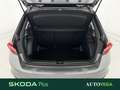 Skoda Fabia 1.0 mpi evo ambition 65cv Grigio - thumbnail 10