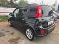 Fiat Panda Panda 1.0 hybrid City Life PREZZO REALE NO VINCOLI Nero - thumbnail 7