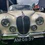 Daimler Sonstige mk2 Weiß - thumbnail 3