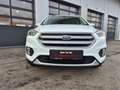 Ford Kuga Titanium AWD,LED,Navi,AHK,SHZ,Leder,usw... Weiß - thumbnail 3