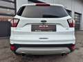 Ford Kuga Titanium AWD,LED,Navi,AHK,SHZ,Leder,usw... Weiß - thumbnail 5