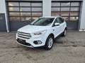 Ford Kuga Titanium AWD,LED,Navi,AHK,SHZ,Leder,usw... Weiß - thumbnail 2