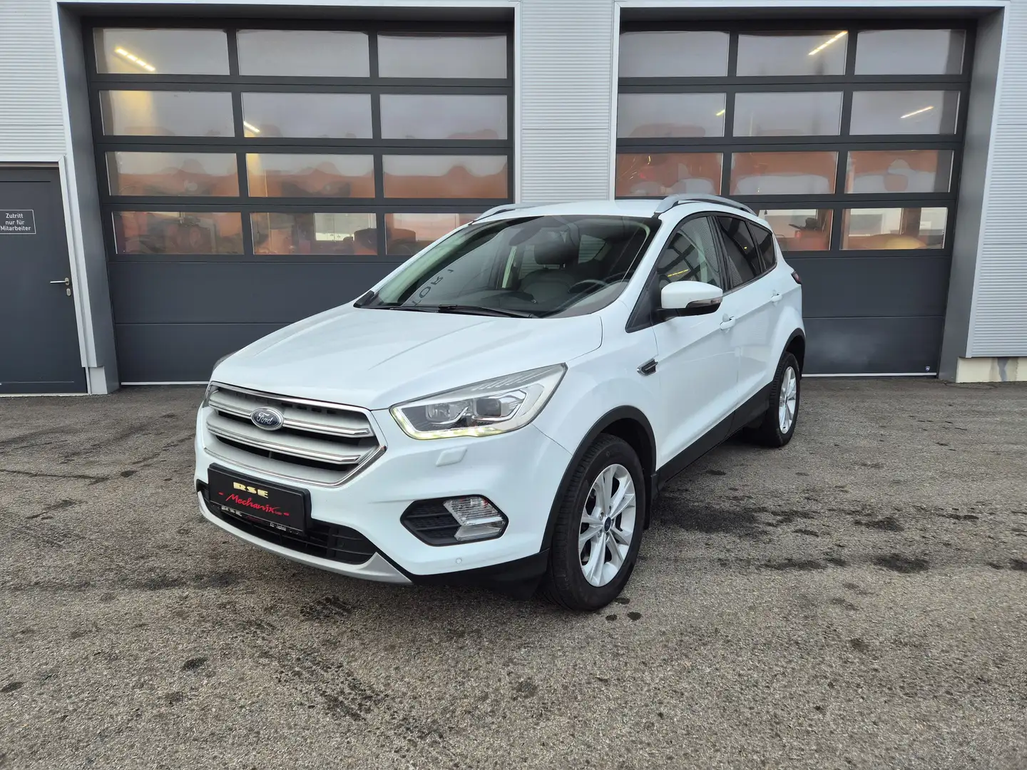 Ford Kuga Titanium AWD,LED,Navi,AHK,SHZ,Leder,usw... Weiß - 2