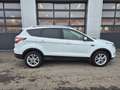 Ford Kuga Titanium AWD,LED,Navi,AHK,SHZ,Leder,usw... Weiß - thumbnail 6
