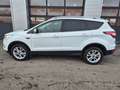 Ford Kuga Titanium AWD,LED,Navi,AHK,SHZ,Leder,usw... Weiß - thumbnail 7