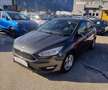 Ford Focus 5p 1.5 tdci Plus s&s 120cv Grigio - thumbnail 3