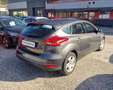 Ford Focus 5p 1.5 tdci Plus s&s 120cv Grigio - thumbnail 5