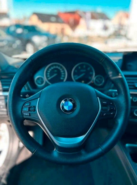 BMW 318 d AUT + NAVI + SHZ + SCHIEBED + LEDER — photo 9