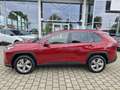 Toyota RAV 4 Hybrid 4x4 Team Deutschland Rot - thumbnail 4