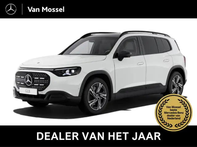 Mercedes-Benz GLB 250 250+ Business Solution 85.5 kWh Nightpakket - Carp