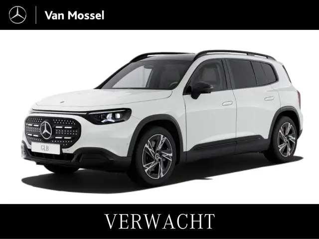 Mercedes-Benz GLB 250 250+ Business Solution 85.5 kWh Nightpakket - Carp