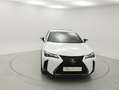 Lexus UX 250h FSPORT LTH 2.0 HYBRID 184 CV AUTO 5P 4WD Blanc - thumbnail 6