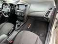 Ford Focus Wagon 1.0 Titanium / bj.2016 / champagne / camera/ Grau - thumbnail 7