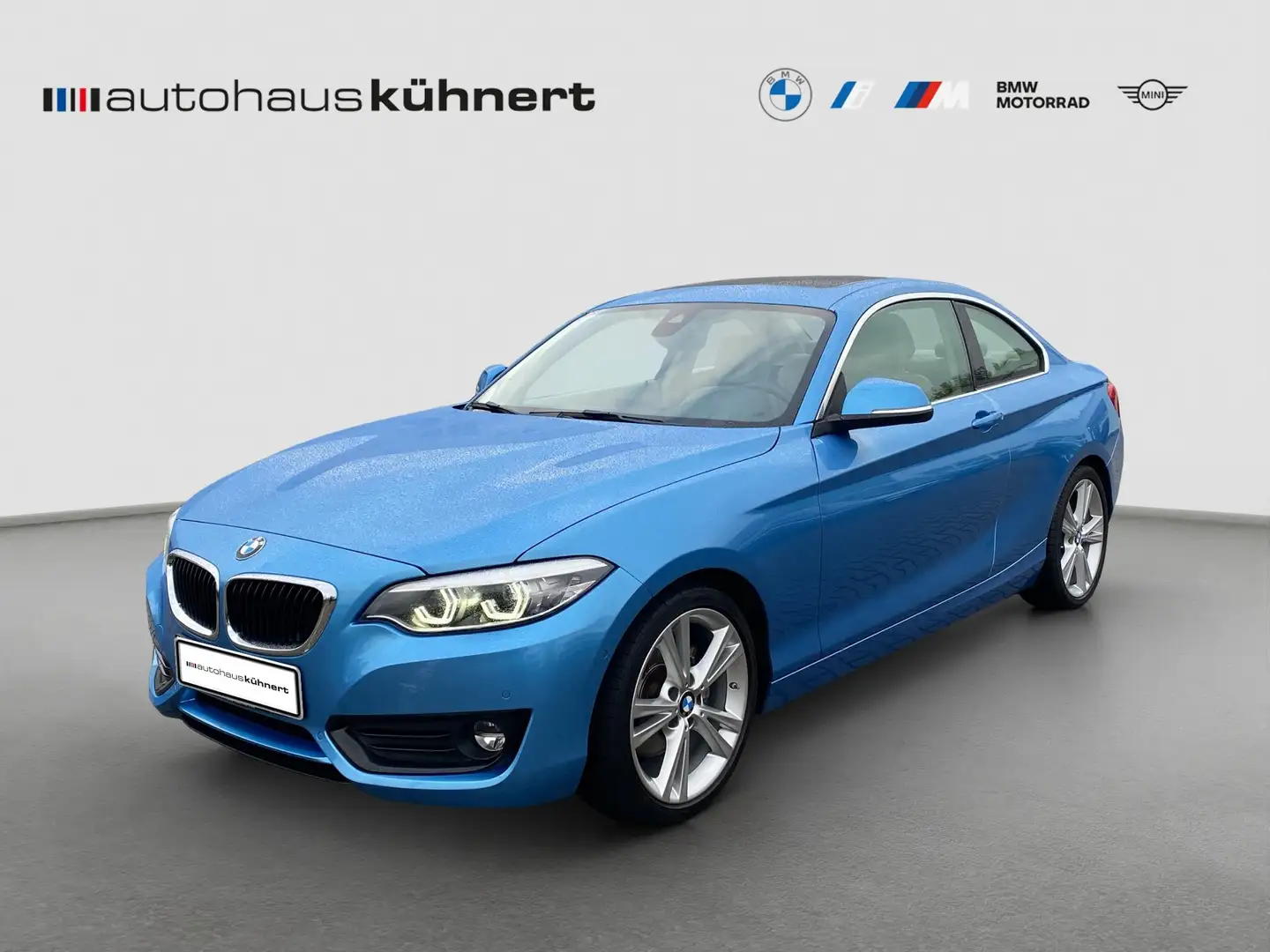 BMW 220 i Coupe Advantage SD SpurAss Navi ParkAss adFw. Blau - 1