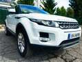 Land Rover Range Rover Evoque 2.22.2L SD4 190CV 4x4 PureL SD4 190CV 4x4 Pure Blanco - thumbnail 3
