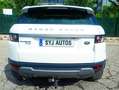 Land Rover Range Rover Evoque 2.22.2L SD4 190CV 4x4 PureL SD4 190CV 4x4 Pure Blanco - thumbnail 5