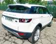 Land Rover Range Rover Evoque 2.22.2L SD4 190CV 4x4 PureL SD4 190CV 4x4 Pure Blanco - thumbnail 6