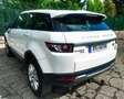 Land Rover Range Rover Evoque 2.22.2L SD4 190CV 4x4 PureL SD4 190CV 4x4 Pure Blanco - thumbnail 4