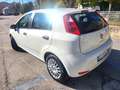 Fiat Punto FIAT PUNTO EVO 1,3 Mjet-UNICO PROPR-4 REVISIONI Bianco - thumbnail 9