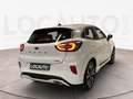 Ford Puma 1.0 ecoboost hybrid ST-Line s&s 125cv - PROMO Blanc - thumbnail 4