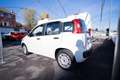 Fiat Panda 1.0 firefly hybrid s&s 70cv - thumbnail 16