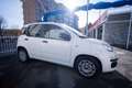 Fiat Panda 1.0 firefly hybrid s&s 70cv - thumbnail 15