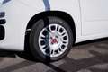 Fiat Panda 1.0 firefly hybrid s&s 70cv - thumbnail 13