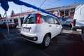 Fiat Panda 1.0 firefly hybrid s&s 70cv - thumbnail 3
