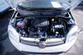 Fiat Panda 1.0 firefly hybrid s&s 70cv - thumbnail 12