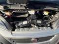 Fiat Ducato 35 2.3 MJT 130CV GRU FASSI DOPPIA CABINA 7 PT Wit - thumbnail 20